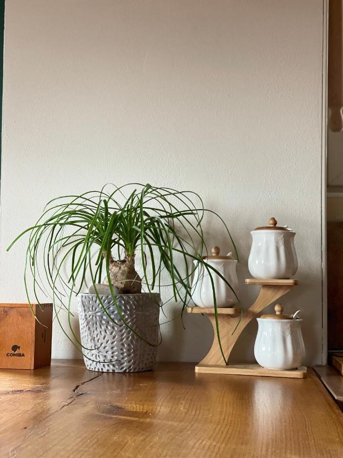 Captain Marino Apartments Piran Zewnętrze zdjęcie